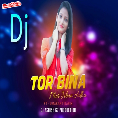 Tor Bina Mor Jiban Adha Love Is Life Sambalpuri Dj Remix